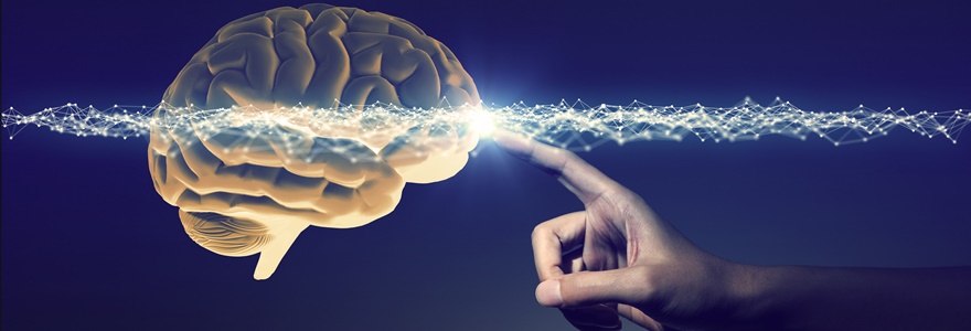 hipnose e neurociencia