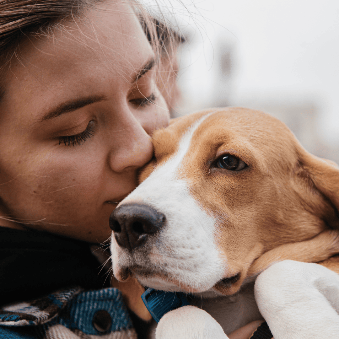 Feed Blog Post Daniel (4)