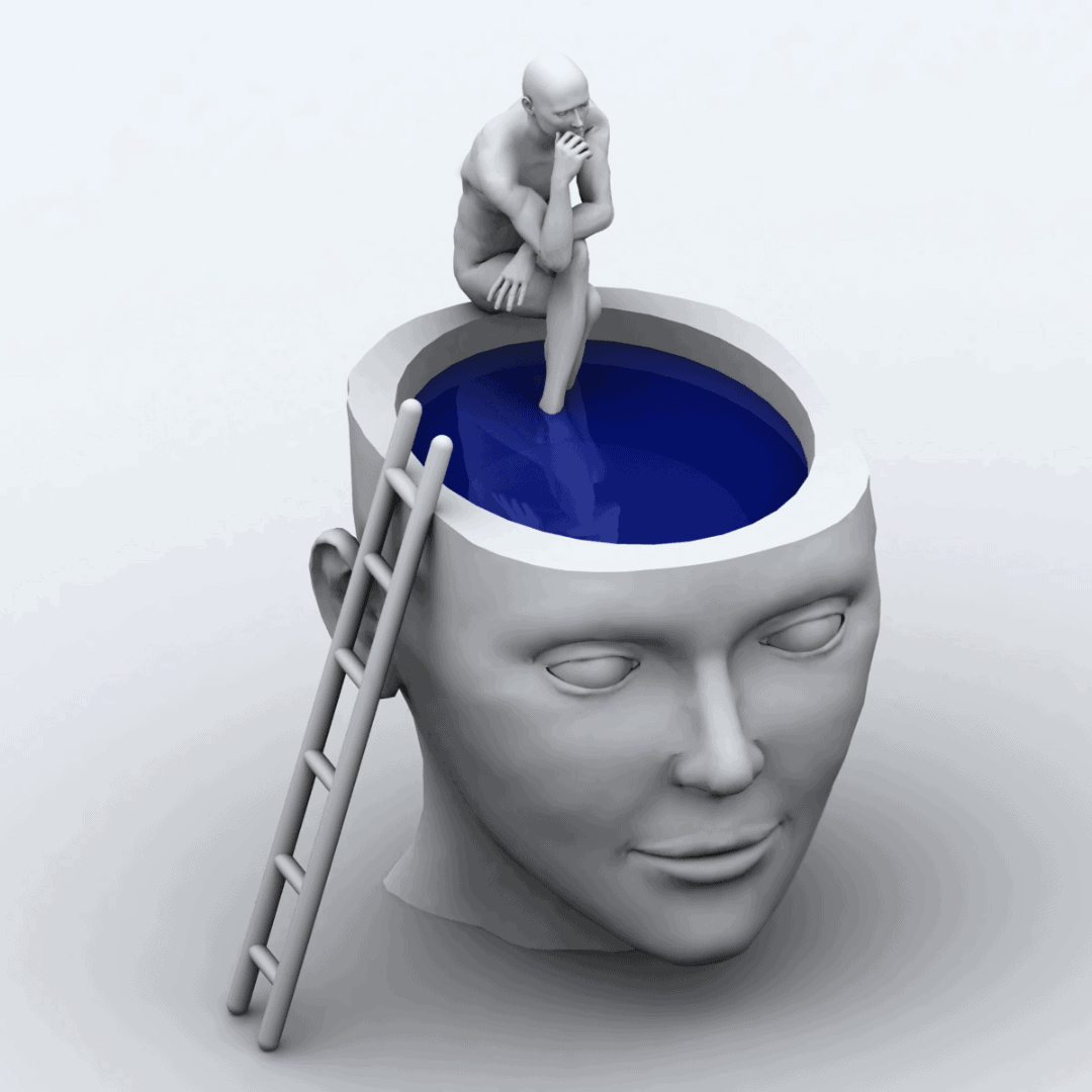 Feed Blog Post Daniel (6)