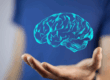 neurociência
