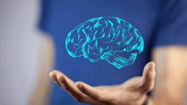 neurociência