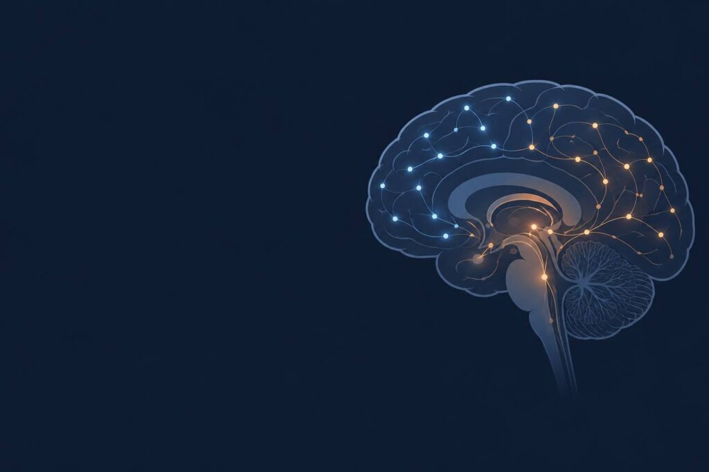 Ilustração vetorial de um cérebro humano com conexões neurais iluminadas, representando a atividade cerebral durante a hipnose
